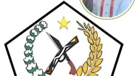 Ika Togale Halsel, (Istimewa).