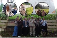 Camat Bacan Timur saat tinjau Program ketahanan pangan Desa Sabatang dalam agenda Kunker ke Sejumlah Desa wilayah setempat.