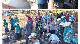 Seremoni penanaman jagung ketahanan pangan Desa Pelita. (Istimewa).  