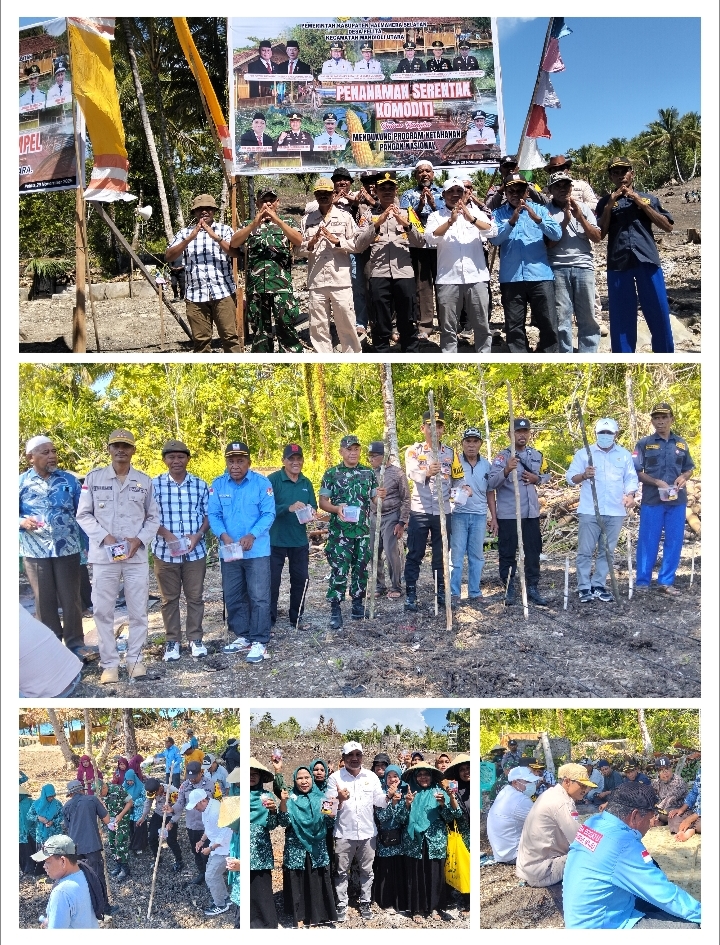 Kadis PMD Halsel bersama Wakapolres dan Camat Mandioli Utara serta Danramil1509/01 Bacan saat menghadiri kegiatan penanaman jagung oleh Pemdes Pelita. (Istimewa)