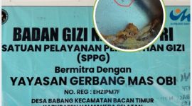 Kantor SPPG bermitra dengan Yayasan Gerbang Mas Obi. (Doc//MalutInsight)