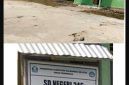 Sekolah SD Negri 246 Halmahera Selatan.