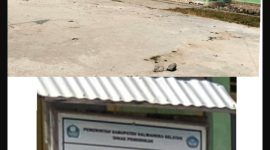 Sekolah SD Negri 246 Halmahera Selatan.